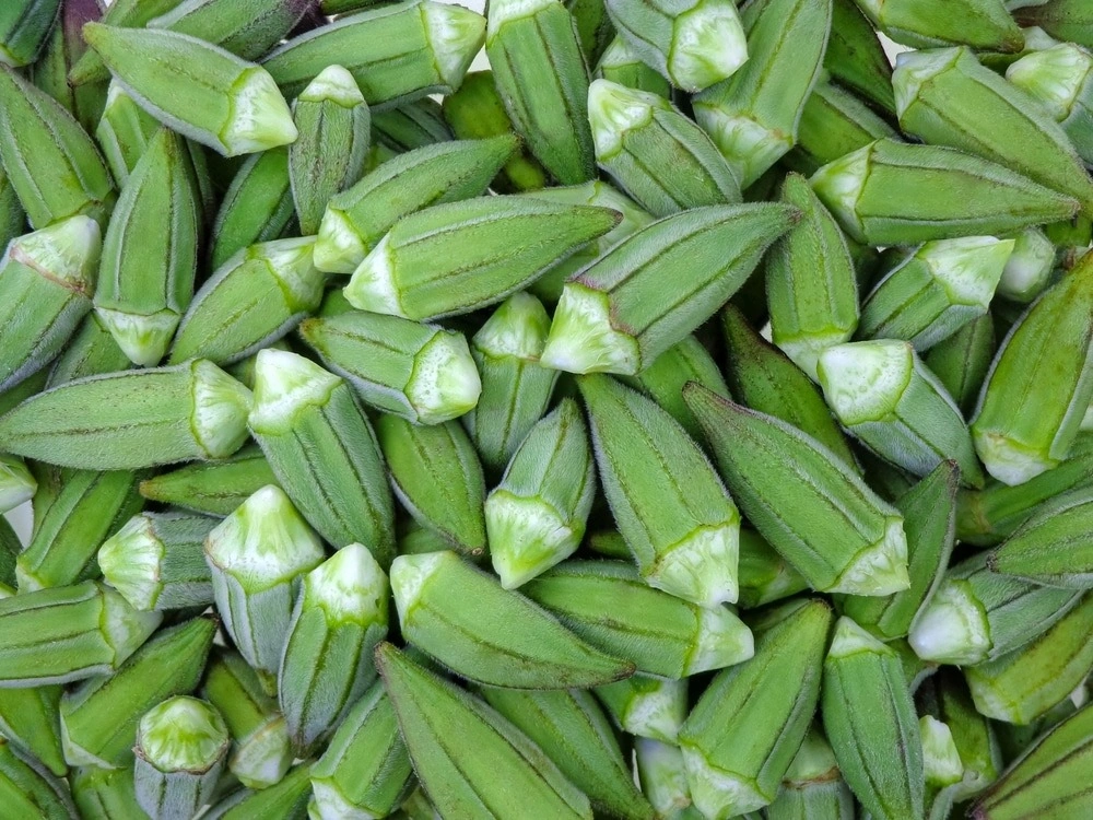 Okra — Al Ghareeb