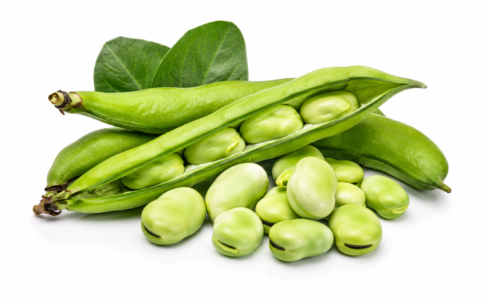 Peeled fava beans — Al Ghareeb